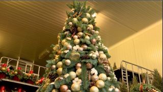 Cum împodobim bradul de Crăciun? Cele mai bune sfaturi de la specialiști