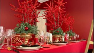 Cum împodobim bradul de Crăciun? Cele mai bune sfaturi de la specialiști