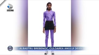 Albastru brebenoc, culoarea anului 2022