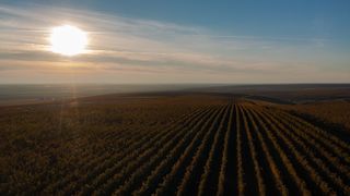 S&acirc;mbăta aceasta, de la ora 15:00, &icirc;n &ldquo;ROventura&rdquo;,  Povești de călătorie pe tăr&acirc;mul vinului