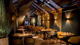 VIDEO | Străinii angajați, mulțumiți &icirc;n Rom&acirc;nia