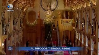 Au &icirc;mpodobit bradul regal
