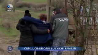 Copil ucis de caini sub ochii familiei