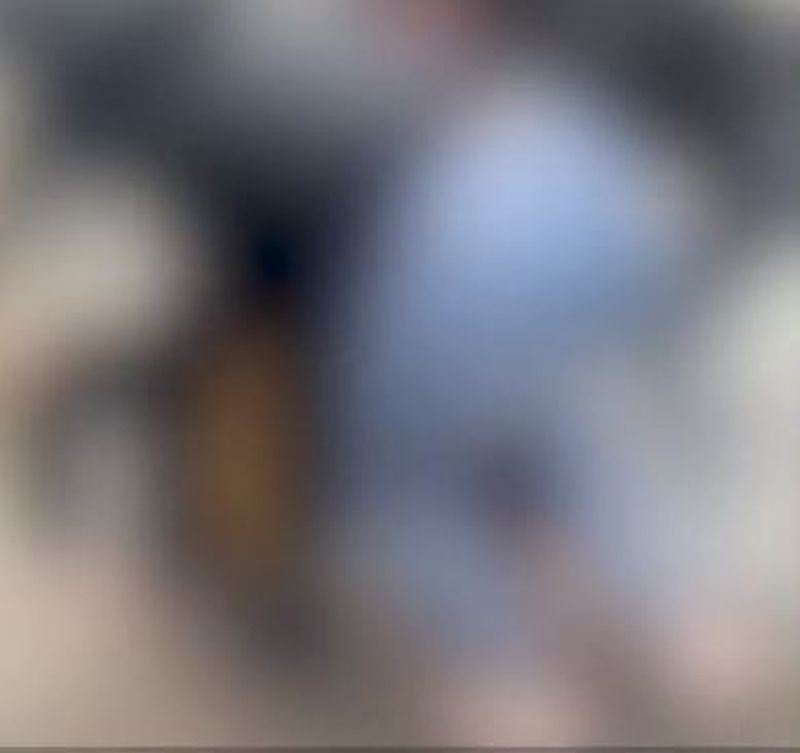 bătaie liceul cartojan giurgiu