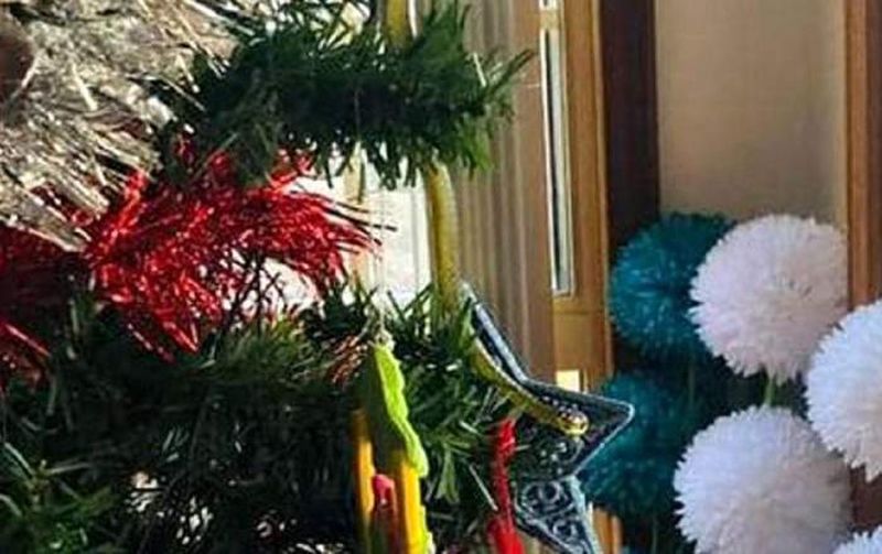 șarpe veninos în bradul de crăciun