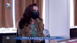 Frigul a ajuns si in Parlament