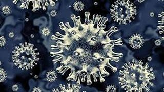 O  boală rară a reapărut la pacienții români după ani de zile. Mortalitatea poate atinge 70%