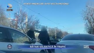 Bataie salbatica in trafic