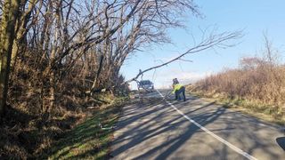 Cadavrul unui bărbat dispărut a fost găsit după o lună. Cine a făcut descoperirea