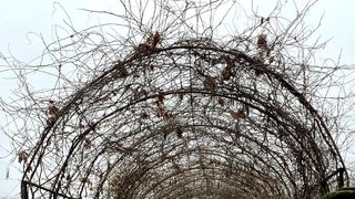 Sâmbătă, de la ora 15:00, în „ROventura”, Crăciun de poveste la Săvârșîn