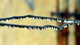 cod galben de ploi anunț anm