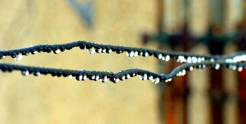 cod galben de ploi anunț anm