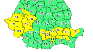Cod galben de ninsori însemnate cantitativ