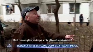 Blocată între betoane după ce a hrănit pisica
