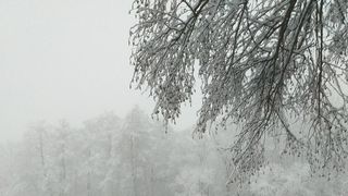 Cod galben de ceaţă şi polei &icirc;n zone din şase judeţe, marţi dimineaţa