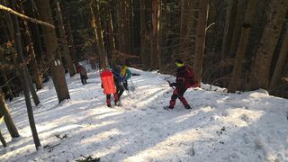 Cinci persoane au rămas înzăpezite noaptea pe un drum forestier din Munții Sebeșului