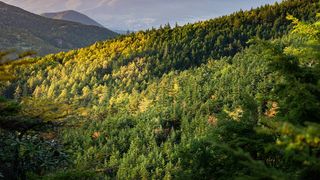 Cum va fi vremea de Revelion? Unde va ninge și în ce regiuni vor apărea ploile