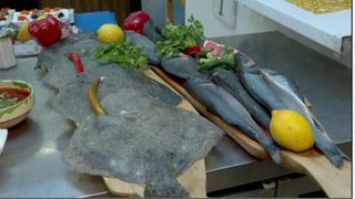 VIDEO | Nici nu a trecut bine Crăciunul că românii au și început din nou goana după cumpărături. Pescăriile, luate cu asalt