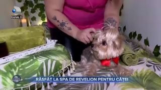 Răsfăț la SPA de Revelion pentru căței