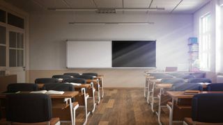 Elevii din Țările de Jos se întorc la școală pe 10 ianuarie, chiar dacă numărul de infectări cu coronavirus este ridicat