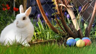 Când începe Postul Paştelui 2022?