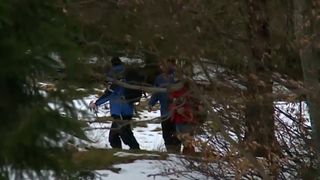 După ce a fost dat dispărut 2 luni, un bărbat de 46 de ani a fost găsit &icirc;ntr-o pădure din Argeș