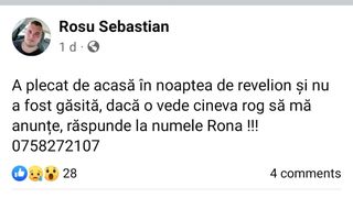 Zeci de persoane și-au pierdut câinii după noaptea de Revelion. Animalele de companie, speriate din cauza artificiilor