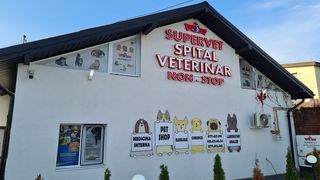 Vaccinarea animalelor de companie. Ce trebuie să știi despre reacțiile adverese