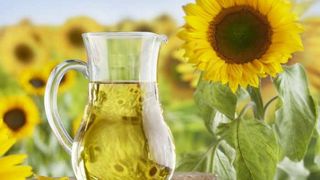 VIDEO | Uleiul românesc de Floarea Soarelui are același preț ca cel de măsline