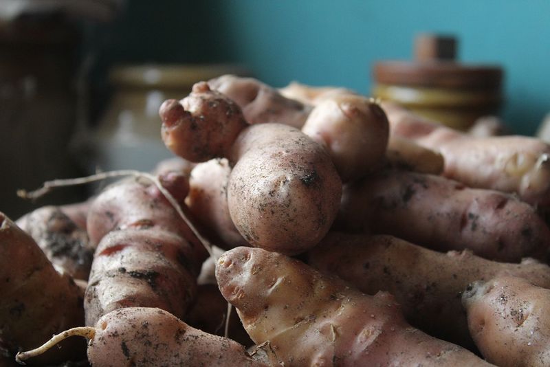 Cartofi roșii sau albi? Ce să alegi în funcție de mâncarea pe care o prepari