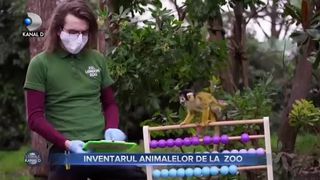 Inventarul animalelor de la ZOO