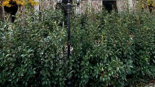 Incursiune de poveste la granița Ardealului cu Banatul