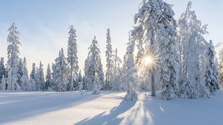 Anunț ANM: cod galben de ninsori până duminică dimineaţă