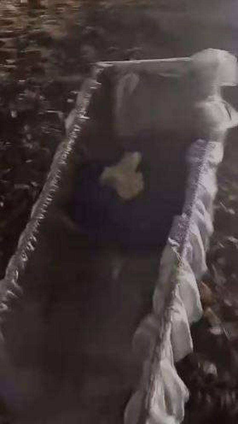 românca care și-a înscenat moartea