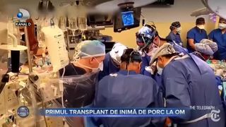Primul transplant de inimă de porc la om