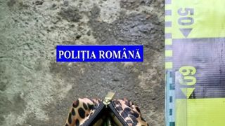 Polițiștii au găsit în casa unui tânăr din Vulcan zeci de grenade, pistoale şi sute de cartuşe