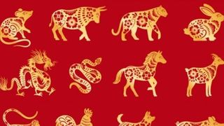 Când începe Anul Nou Chinezesc 2022. Previziuni pentru fiecare zodie