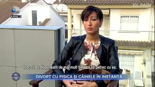 Divort cu pisica si cainele in instanta