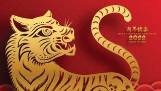 Totul despre Tigrul de apă, animalul care ne aduce Noul An Chinezesc 2022