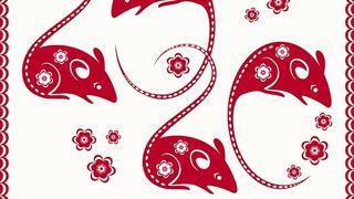 Totul despre Tigrul de apa, animalul care ne aduce Noul An Chinezesc 2022