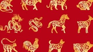 Totul despre Tigrul de apa, animalul care ne aduce Noul An Chinezesc 2022