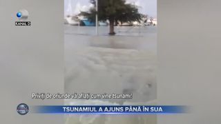 Tsunamiul a ajuns până în SUA