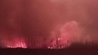 Incendiu puternic de vegetație în Sulina. Pompierii au intervenit de urgență