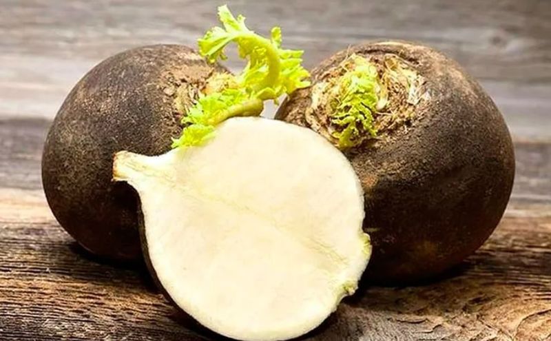 Adevărul despre ridichea neagră cu miere. Ce efect are, de fapt, asupra organismului?