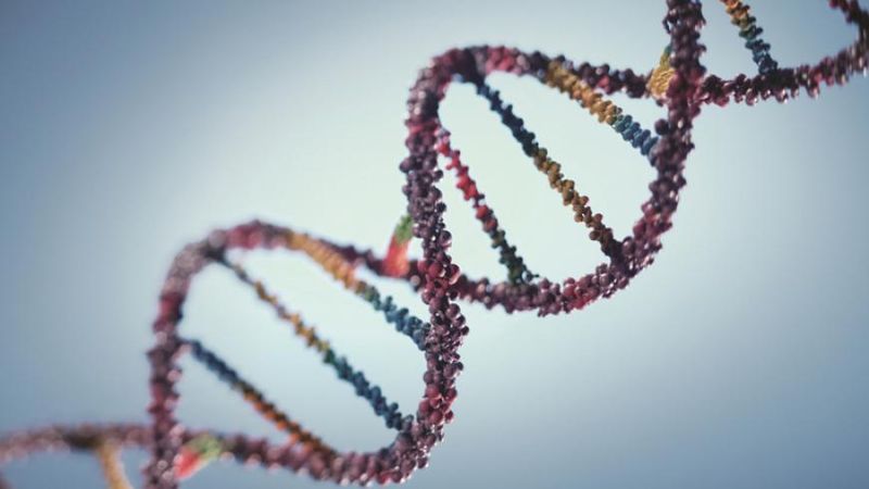 Klaus Iohannis despre Planul Național de Combatere a Cancerului. Ce obiective au fost fixate