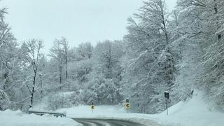 Cod galben de viscol &icirc;n zone din 25 de judeţe