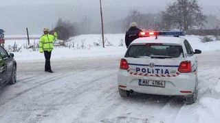 Distracție cu sf&acirc;rșit tragic pentru un t&acirc;năr din Satu Mare. A murit după ce a fost dat cu capul de un pom