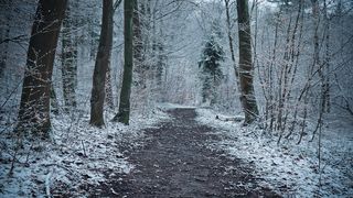 Meteo: România, lovită de un val de aer polar/Ger și ninsori