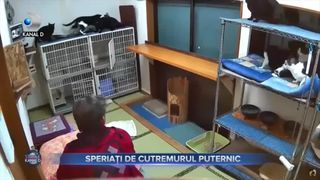 Speriați de cutremurul puternic