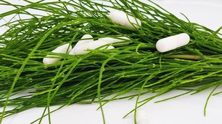 Tratamente Naturiste şi Suplimente Pentru Dureri Articulare